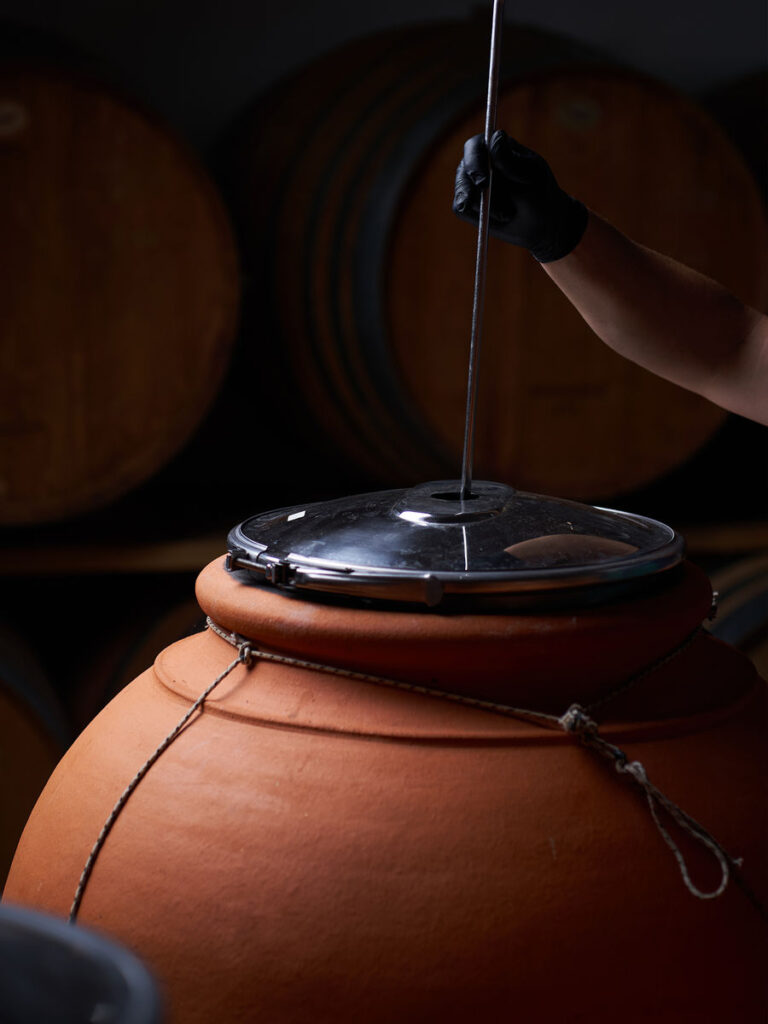 u9SBY3hU_OW Amphorea.jpg